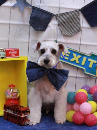 20230415ボルトくん